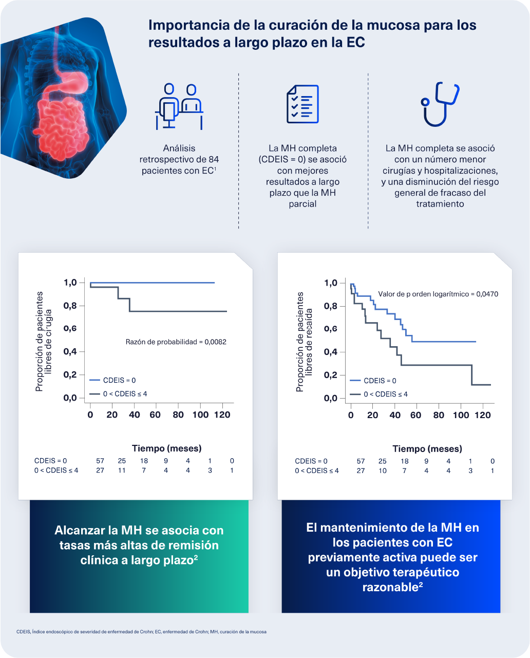Body-Importancia de la curación